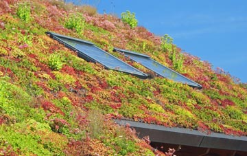 Sleaford living roof systems